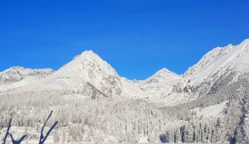Hotel CROCUS **** Vysoké Tatry